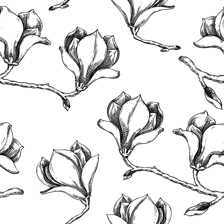 Magnolia background. Blooming tree branches sketches. Magnolia hand-drawn vector illustration. Spring seamless pattern. NOT AI genereted